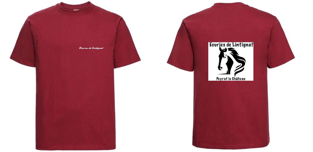 T-SHIRT PRESTIGE EPAIS UNISEXE 100% COTON PERSONNALISABLE REF : RU215