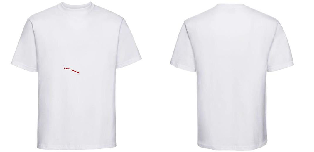T-SHIRT PRESTIGE EPAIS UNISEXE 100% COTON PERSONNALISABLE REF : RU215