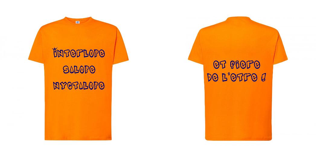 T-SHIRT PREMIUM UNISEXE 100% COTON PERSONNALISABLE REF : JK190