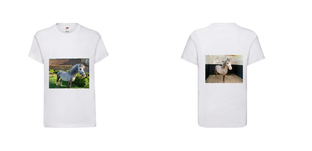 T-SHIRT COTON ENFANT PERSONNALISABLE REF : SC1019